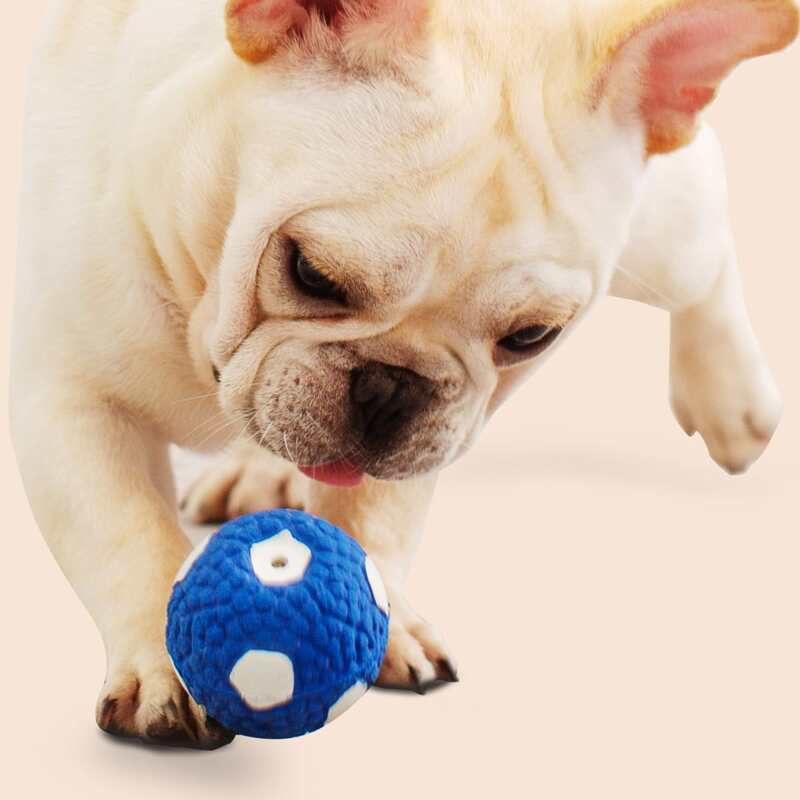 

Football Shaped Dog Sound Toy, Blue