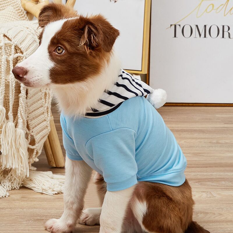 

Pom-pom Decor Striped Dog Hoodie, Blue