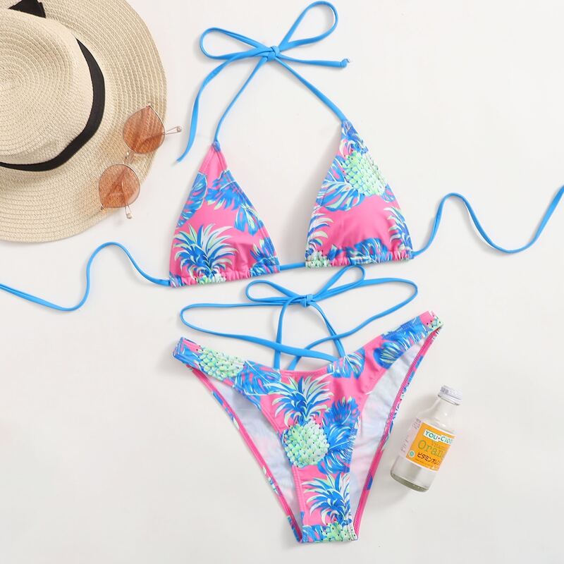 

Pineapple Print Triangle High Leg Bikini Swimsuit, Multicolor