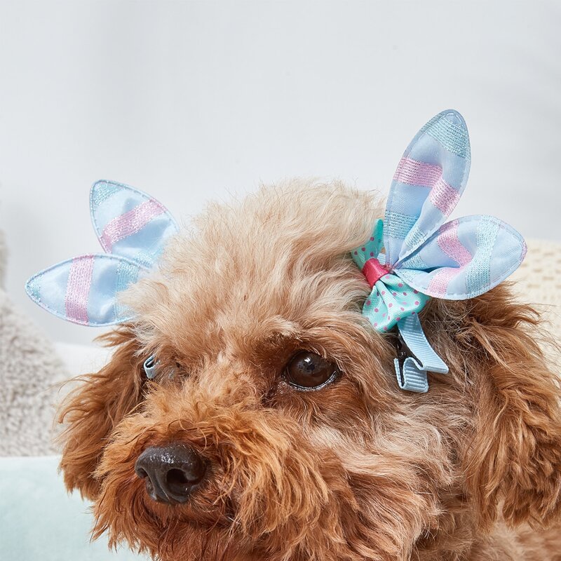 

2pcs Polka Dot Bow Decor Dog Hair Clip, Baby blue