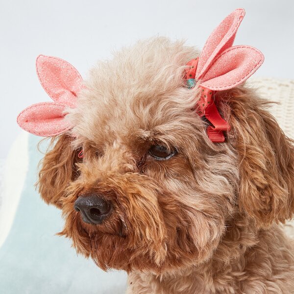 

2pcs Polka Dot Bow Decor Dog Hair Clip, Coral orange