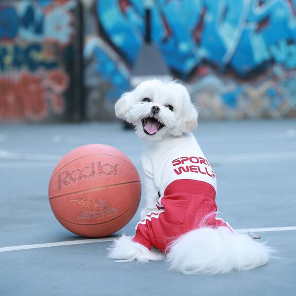

Letter Graphic Dog Jumpsuit, Red