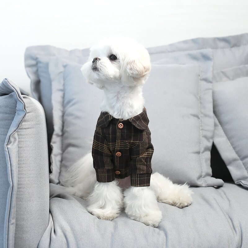 

Plaid Dog Shirt, Yellow