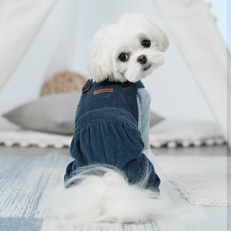 

Button Detail Dog Jumpsuit, Blue