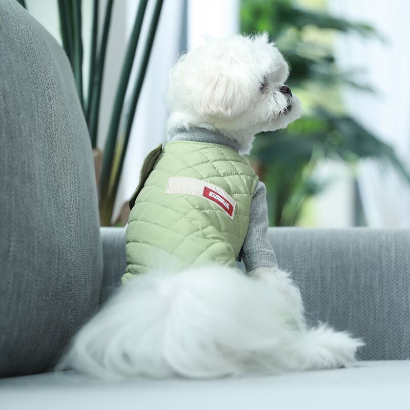 

Button Detail Quilted Dog Jumpsuit, Green