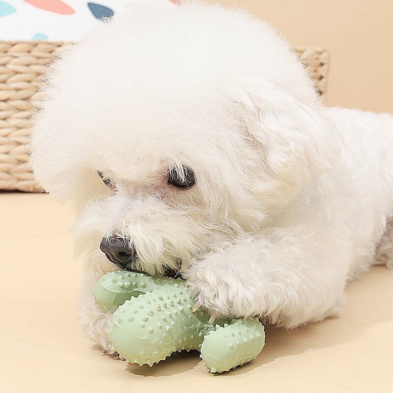 

Cactus Shaped Dog Chew Toy, Green