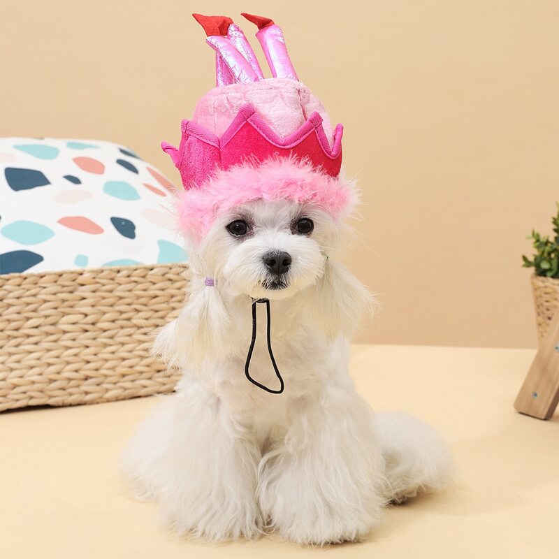 

Birthday Cake Design Dog Hat, Pink