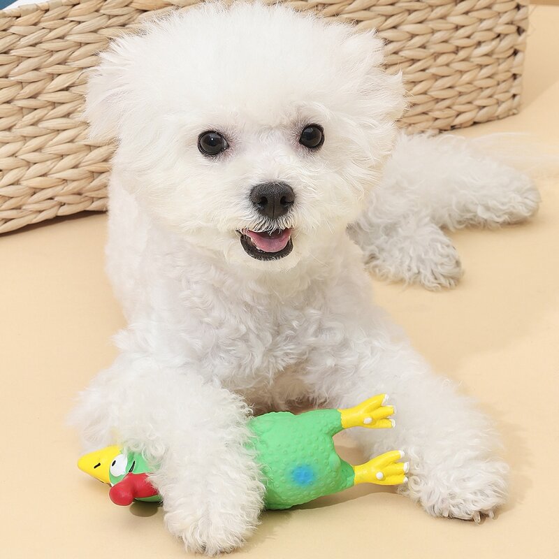 

Cartoon Chicken Shaped Dog Sound Toy, Green