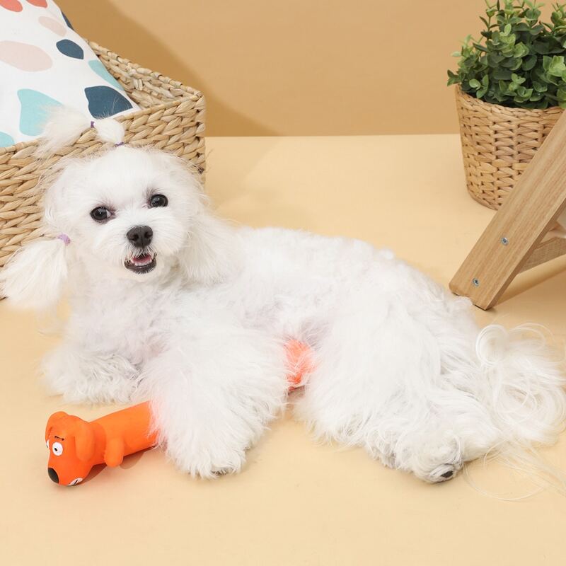 

Cartoon Dog Shaped Dog Sound Toy, Orange