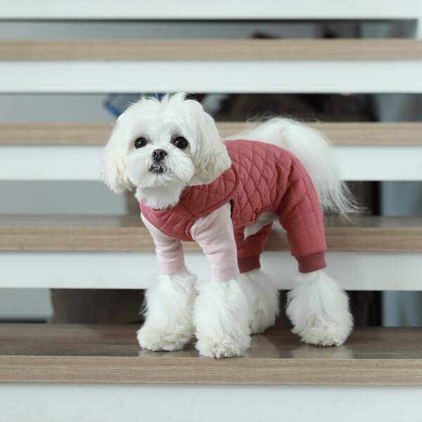 

Button Detail Quilted Dog Jumpsuit, Red
