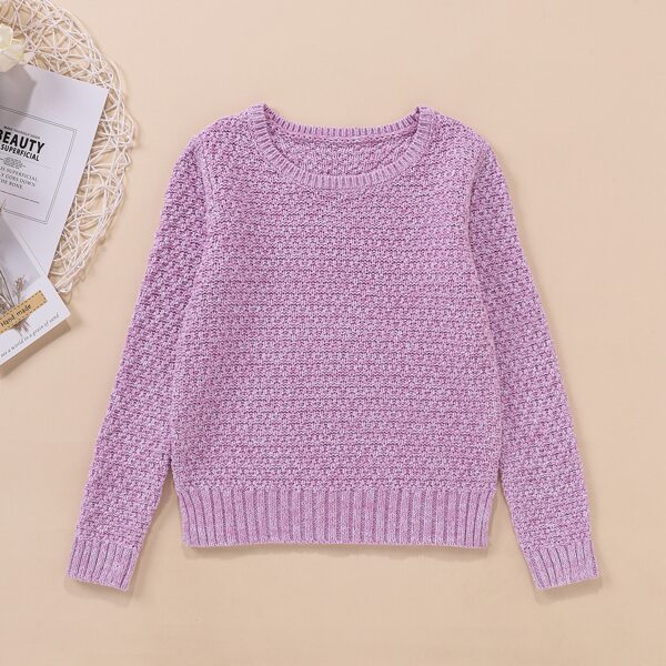 

Girls Solid Crew Neck Sweater, Lilac purple