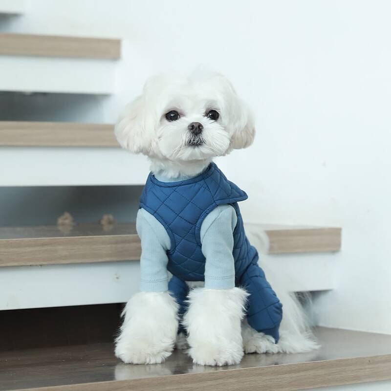 

Button Detail Quilted Dog Jumpsuit, Blue