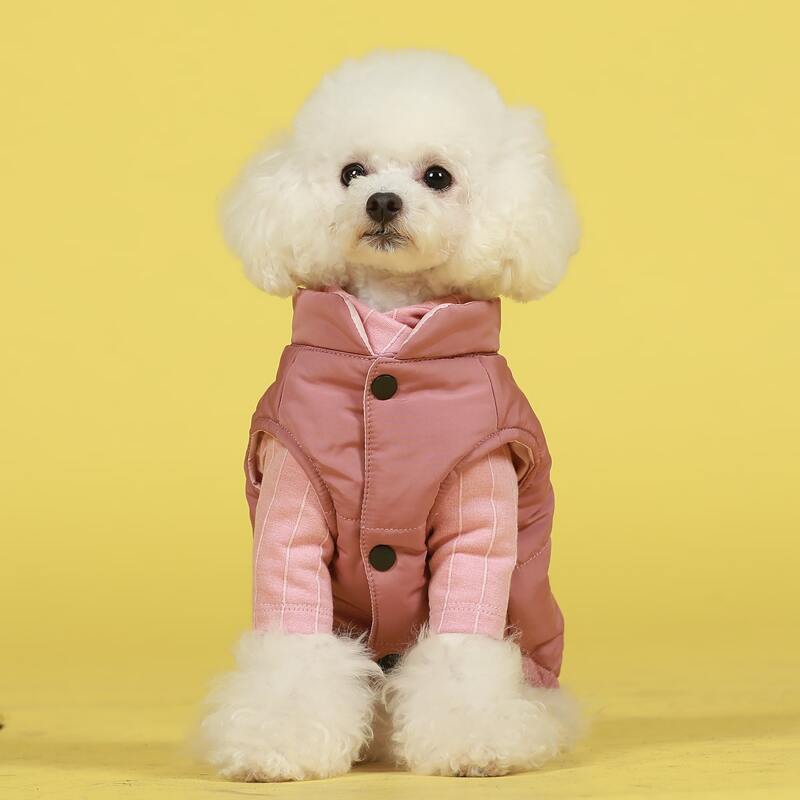 

Letter Graphic Dog Jacket, Pink