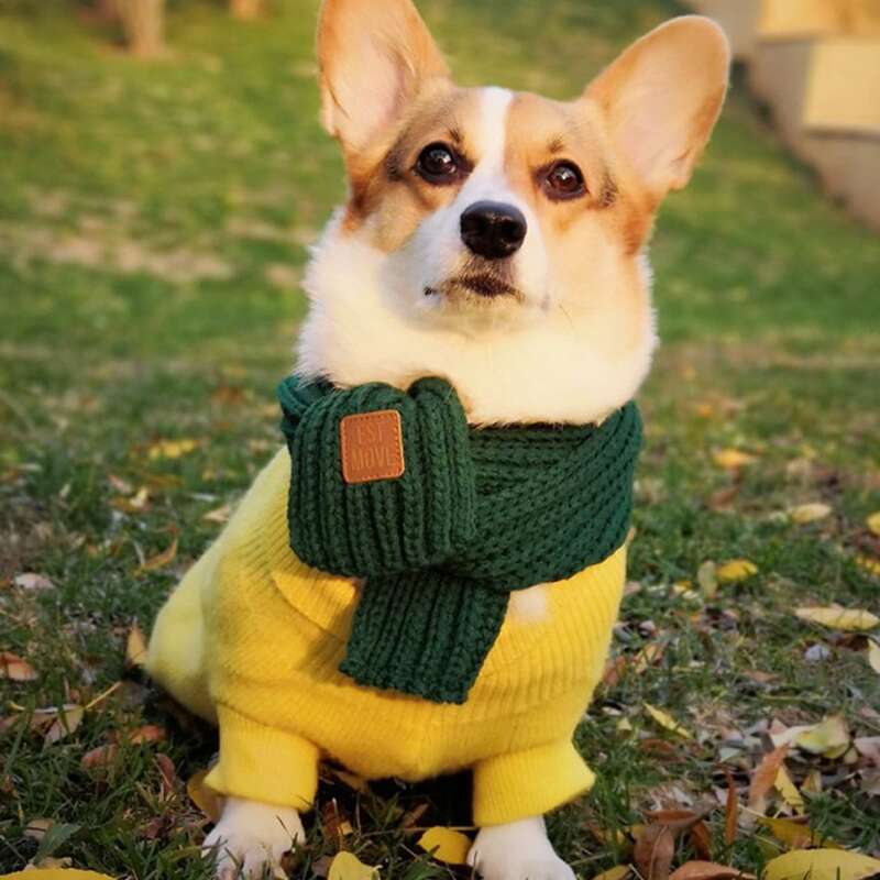 

Simple Knit Dog Scarf, Green