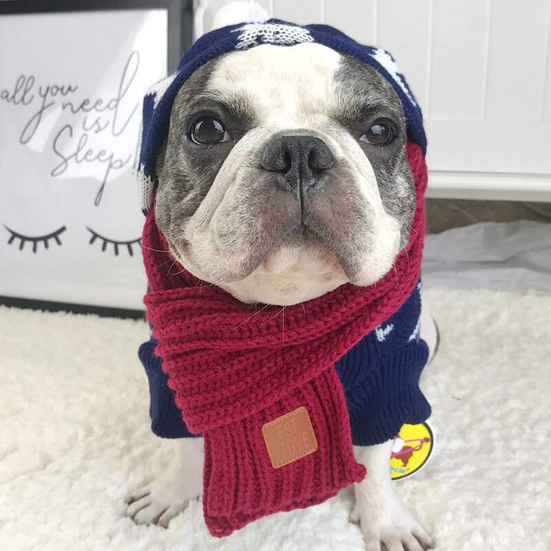 

Simple Knit Dog Scarf, Red