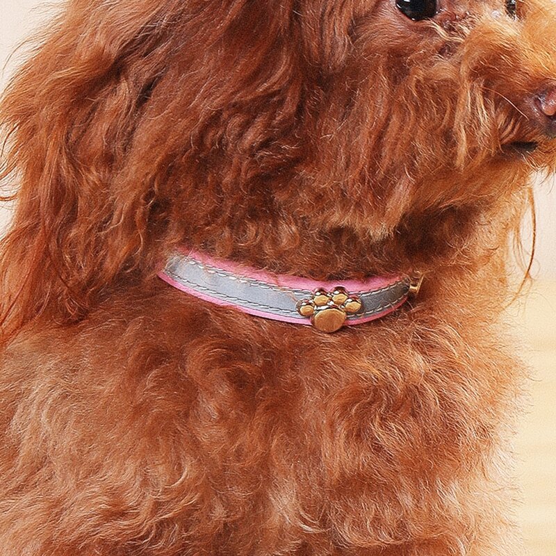 

1pc Paw Decor Reflective Dog Leash, Pink