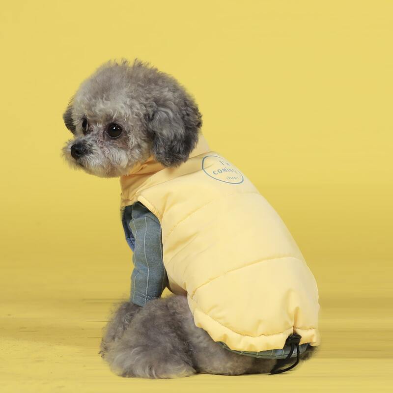 

Letter Graphic Dog Jacket, Yellow