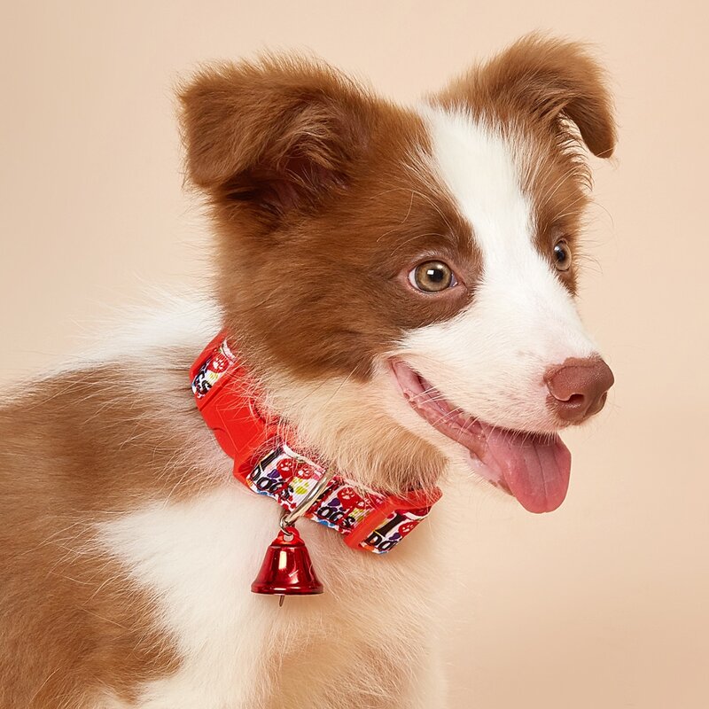 

Bell Decor Heart Print Dog Collar, Red