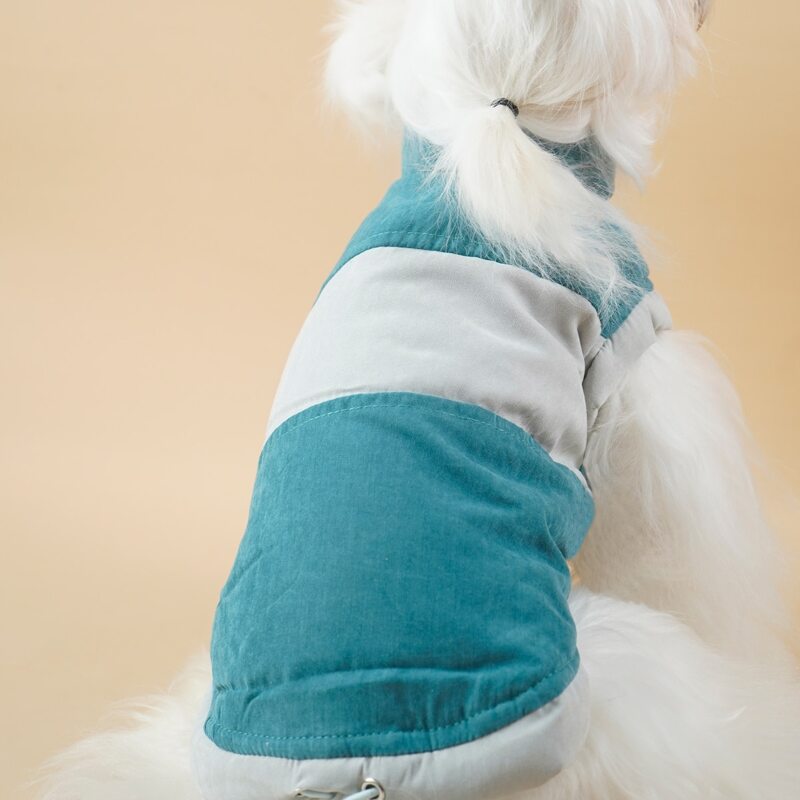 

Colorblock Dog Jacket, Green