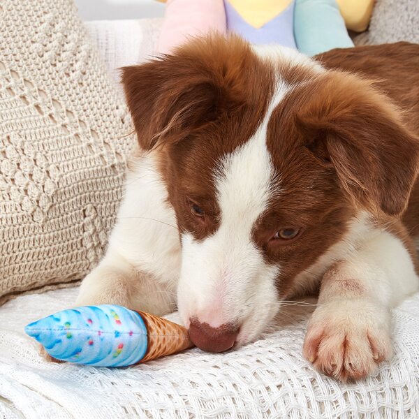 

Ice Cream Shaped Dog Sound Toy, Blue
