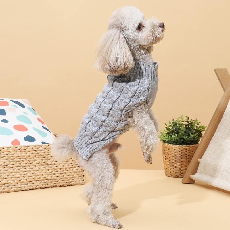 

Solid Knit Dog Sweater, Grey
