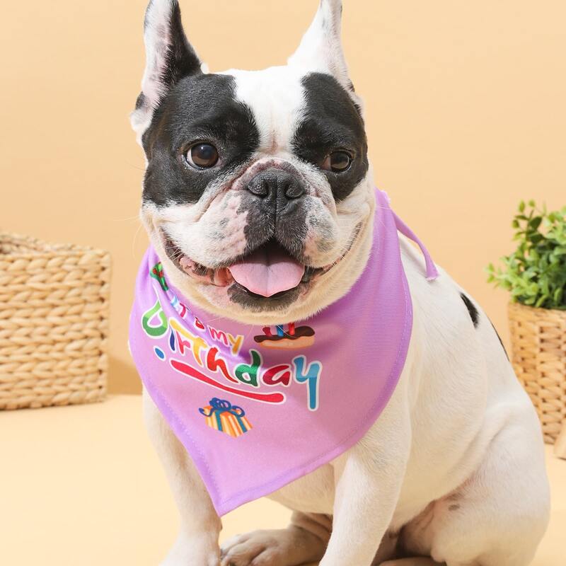 

Birthday Letter Graphic Dog Bandana, Purple