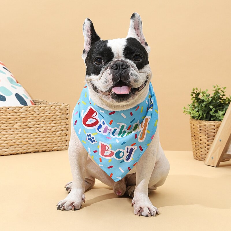 

Birthday Letter Graphic Dog Bandana, Blue