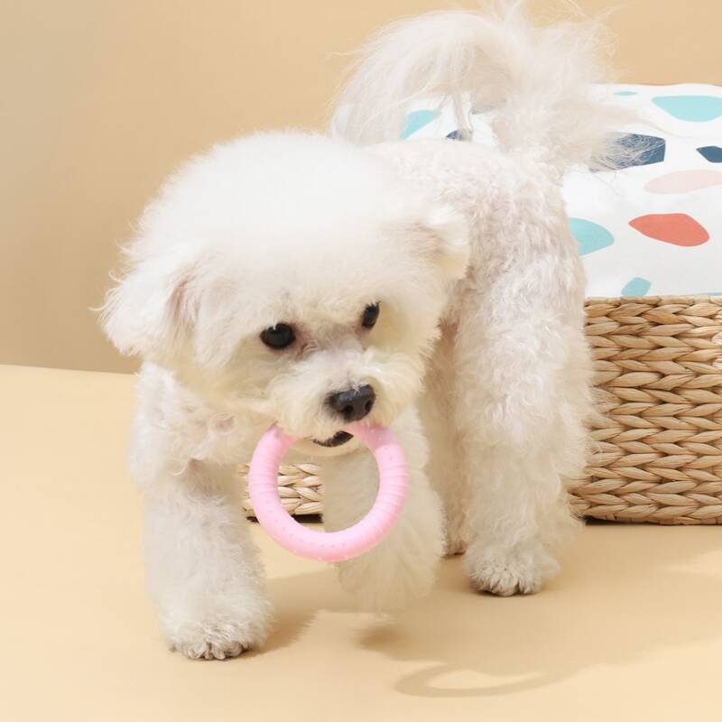 

Solid Ring Shaped Dog Chew Toy, Pink