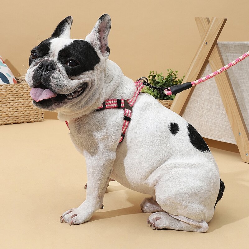 

1pc Colorblock Dog Harness & 1pc Dog Leash, Pink