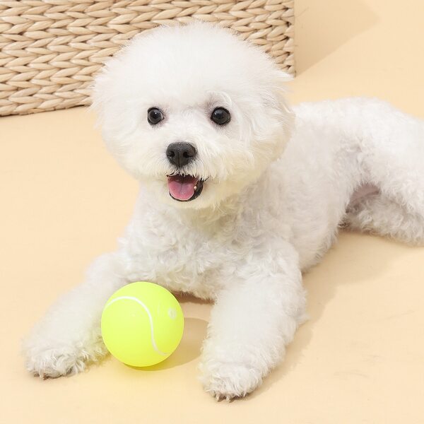 

Tennis Ball Shaped Dog Sound Toy, Yellow bright