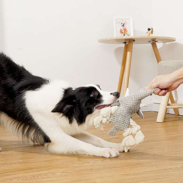 

Elephant Shaped Dog Sound Toy, Grey