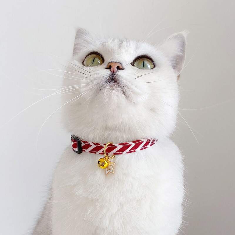 

Star Pendant Geometric Pattern Cat Necklace, Red