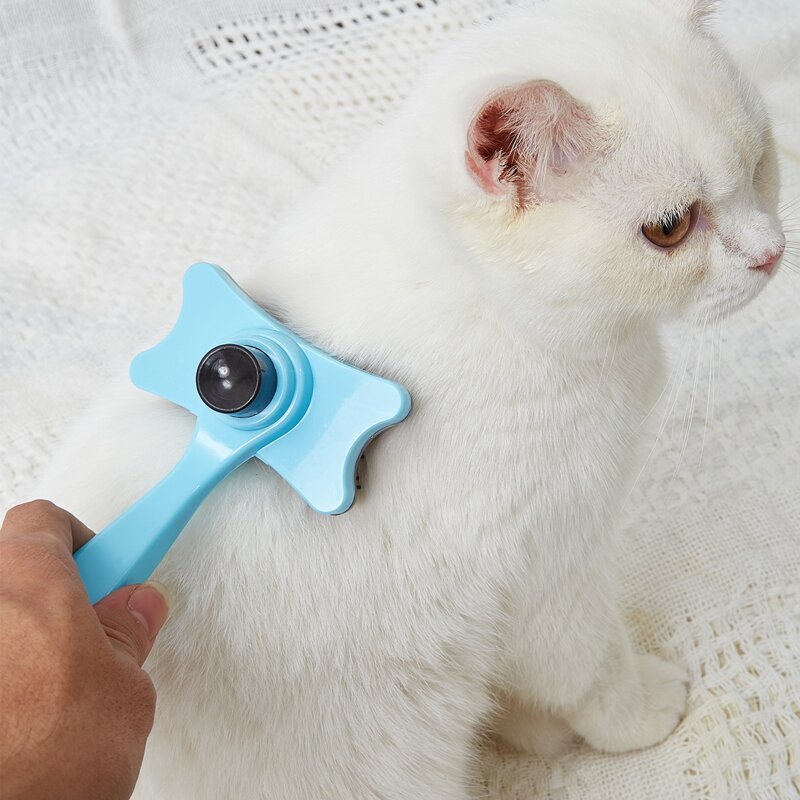 

Colorblock Cat Grooming Brush, Blue