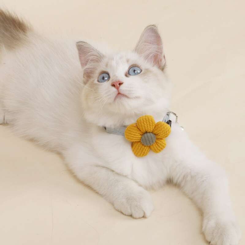 

Flower Decor Cat Collar, Yellow