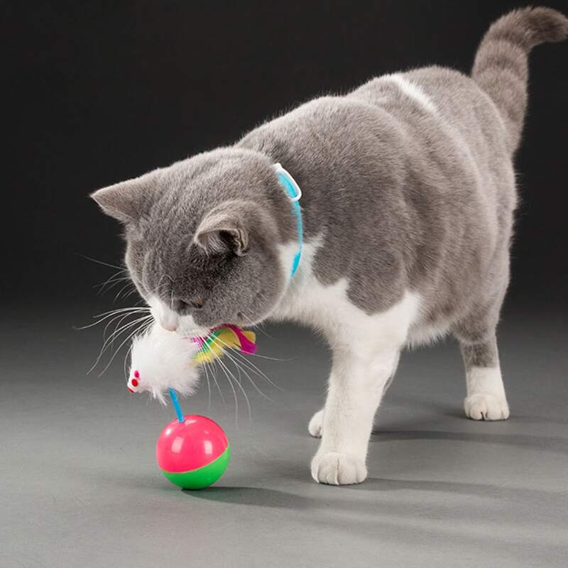

1pc Colorblock Cat Toy Ball, Multicolor