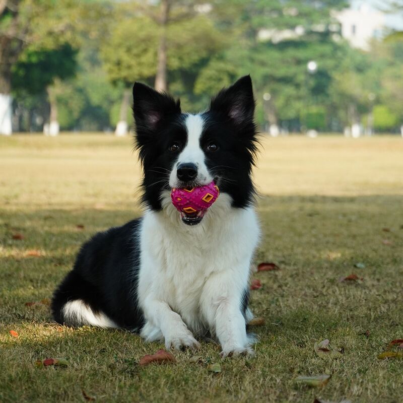 

Hollow Out Dog Sound Toy, Pink