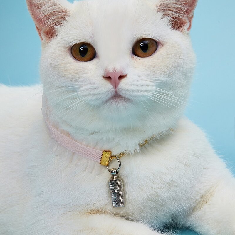 

1pc Cat ID Pendant Without Collar, Silver