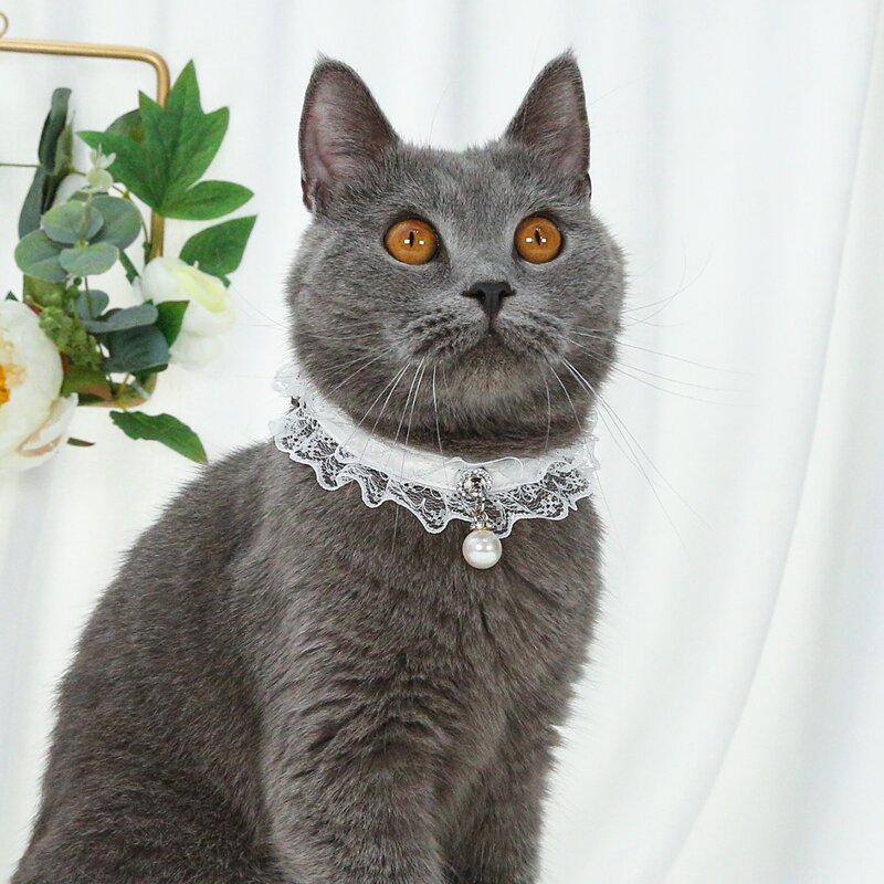 

Lace & Faux Pearl Decor Cat Collar, White