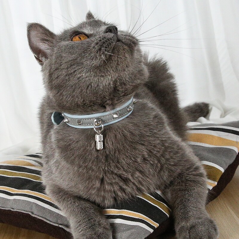 

1pc Rivet Decor Reflective ID Pendant Cat Collar, Blue