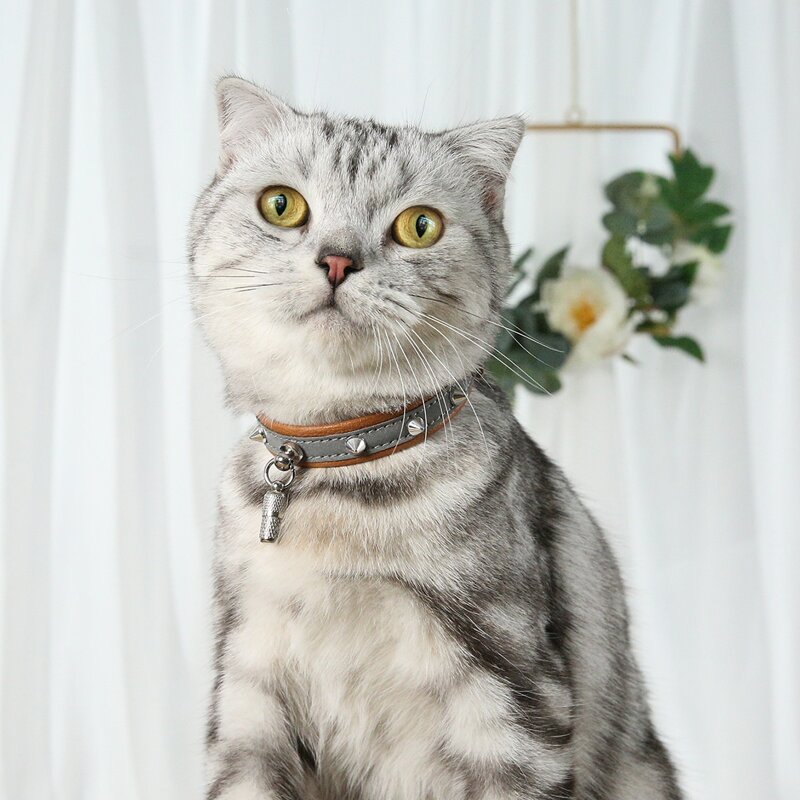 

1pc Rivet Decor Reflective ID Pendant Cat Collar, Brown