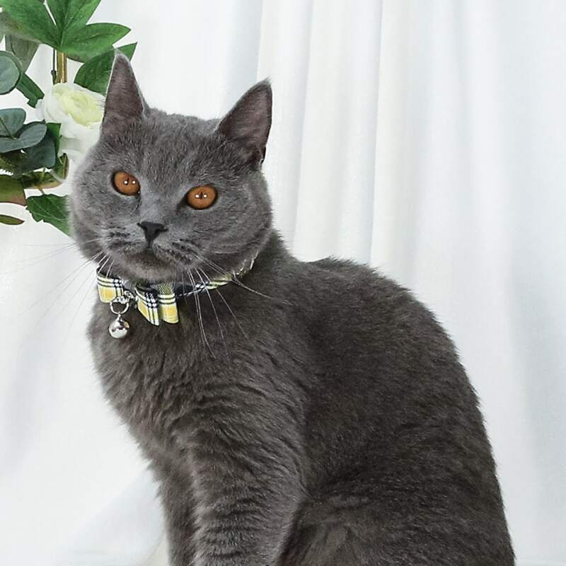 

Plaid Bow Decor Cat Collar, Yellow