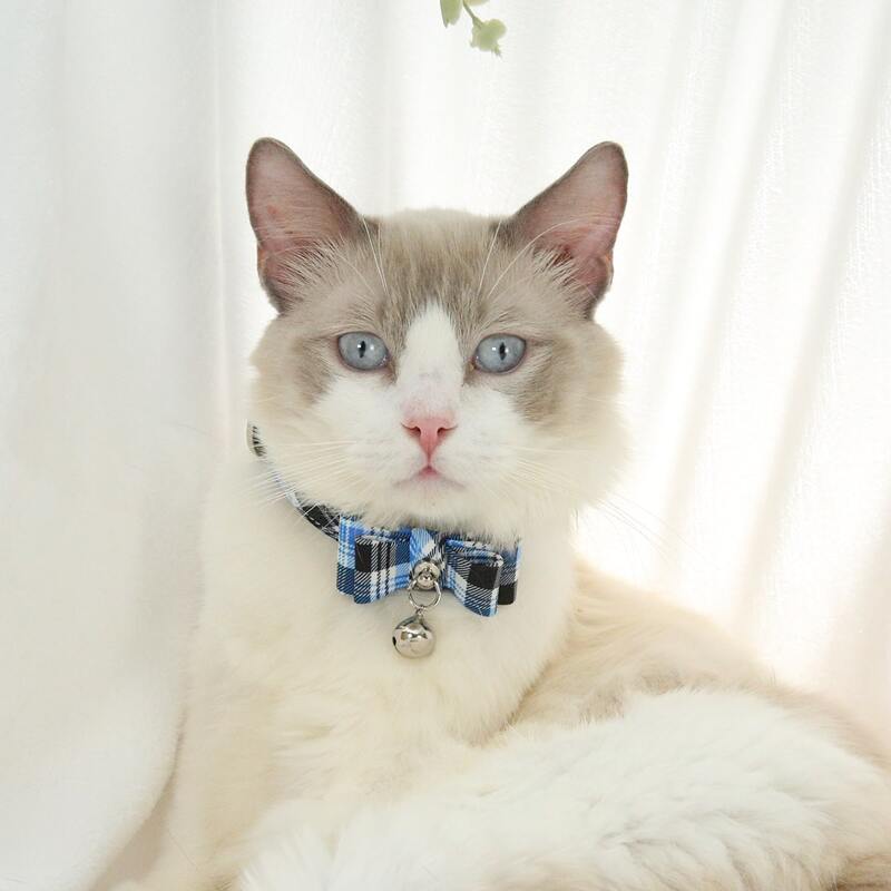 

Plaid Bow Decor Cat Collar, Blue
