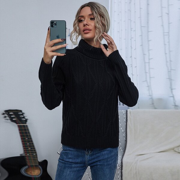 

Solid Turtleneck Cable Knit Raglan Sleeve Sweater, Black