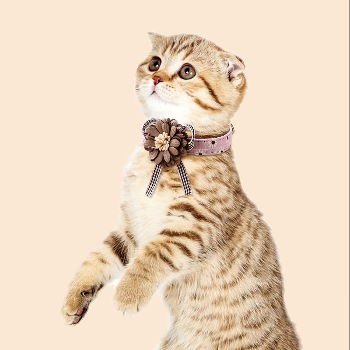 

1pc Flower Decor Cat Collar, Multicolor