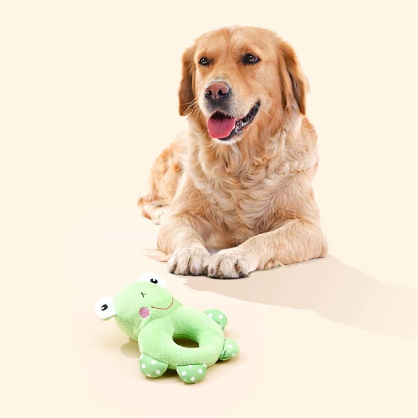

Frog Shaped Dog Sound Toy, Green