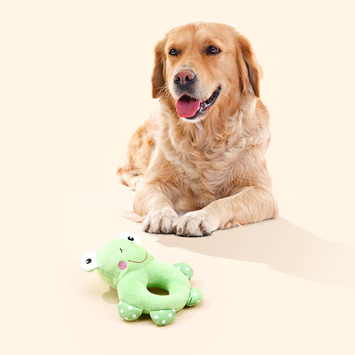 

Frog Shaped Dog Sound Toy, Green