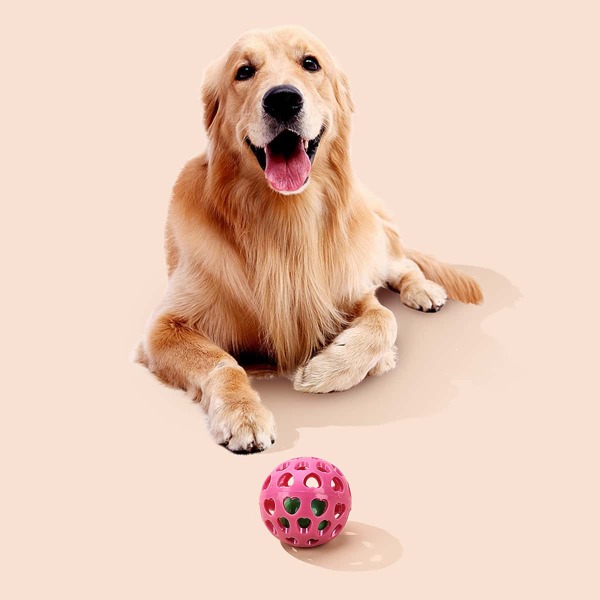 

Bell Design Dog Sound Toy, Multicolor