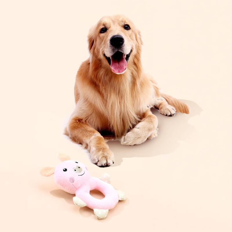 

Pig Shaped Dog Sound Toy, Multicolor