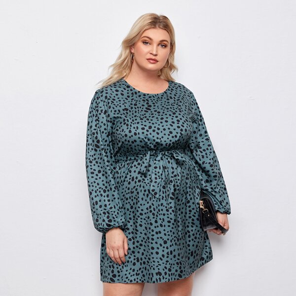 

Plus Dalmatian Print Self Tie Dress, Dusty blue
