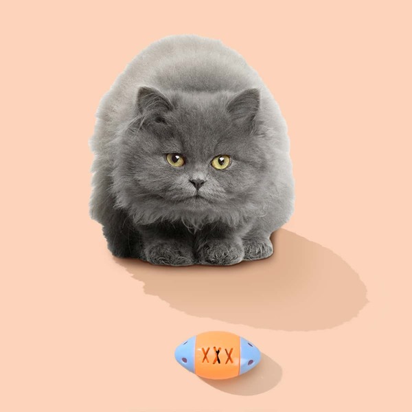 

Fish Shaped Cat Sound Toy, Multicolor